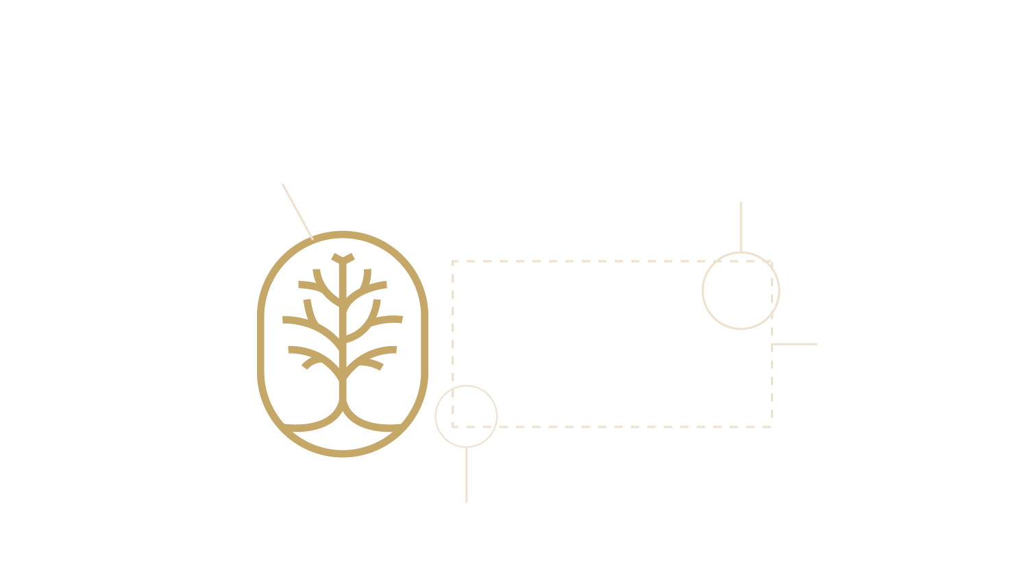 ROOT-Logo-Anatomy