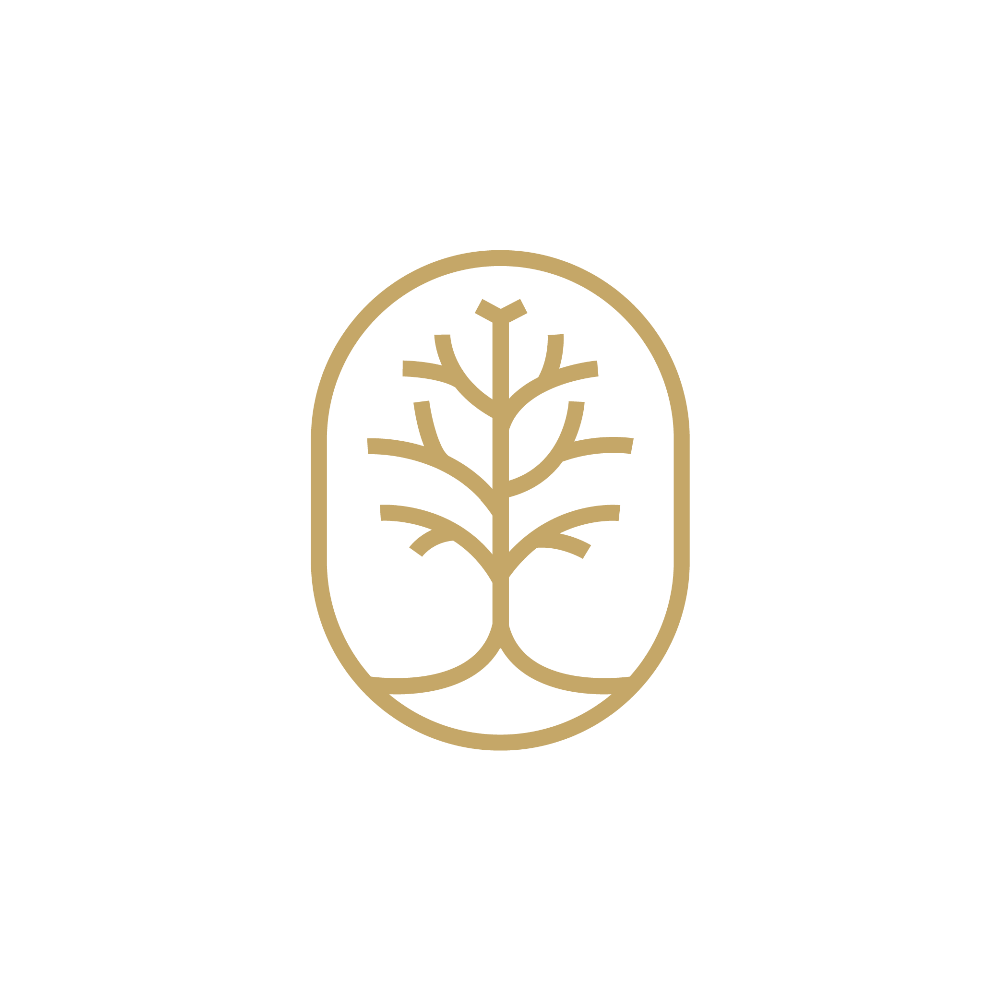 ROOT_Logo Lockups-04